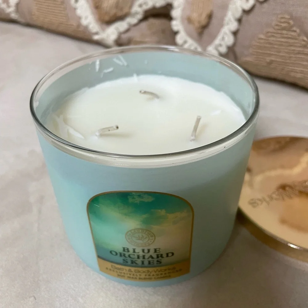 Blue Orchard Skies Bath and Body Works 3 Wick Candle